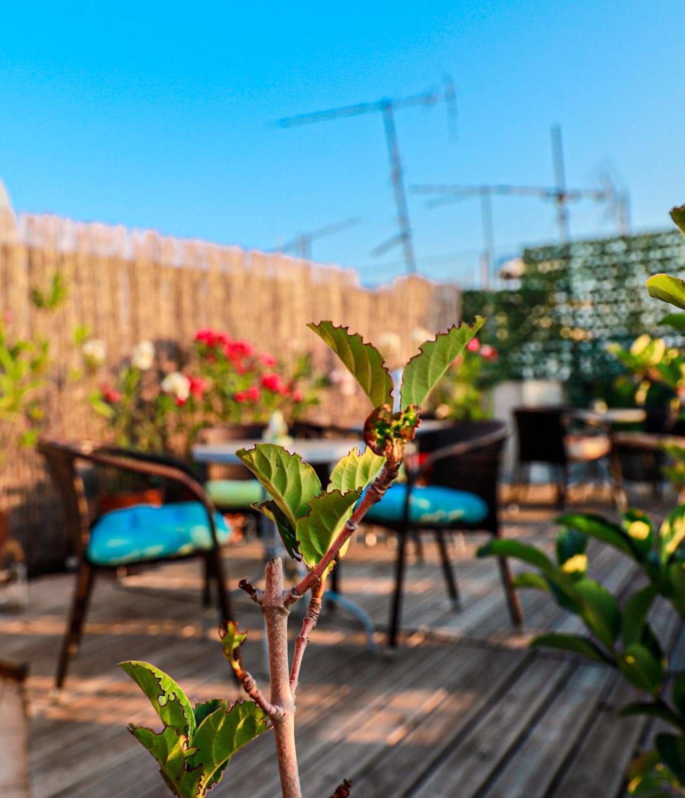 Appartement Bachelor Penthouse With Roof Garden Access, 15 M Walk To Acropolis